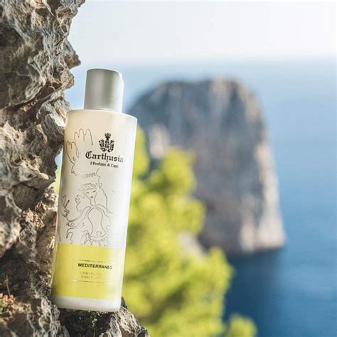 carthusia mediterraneo body lotion.